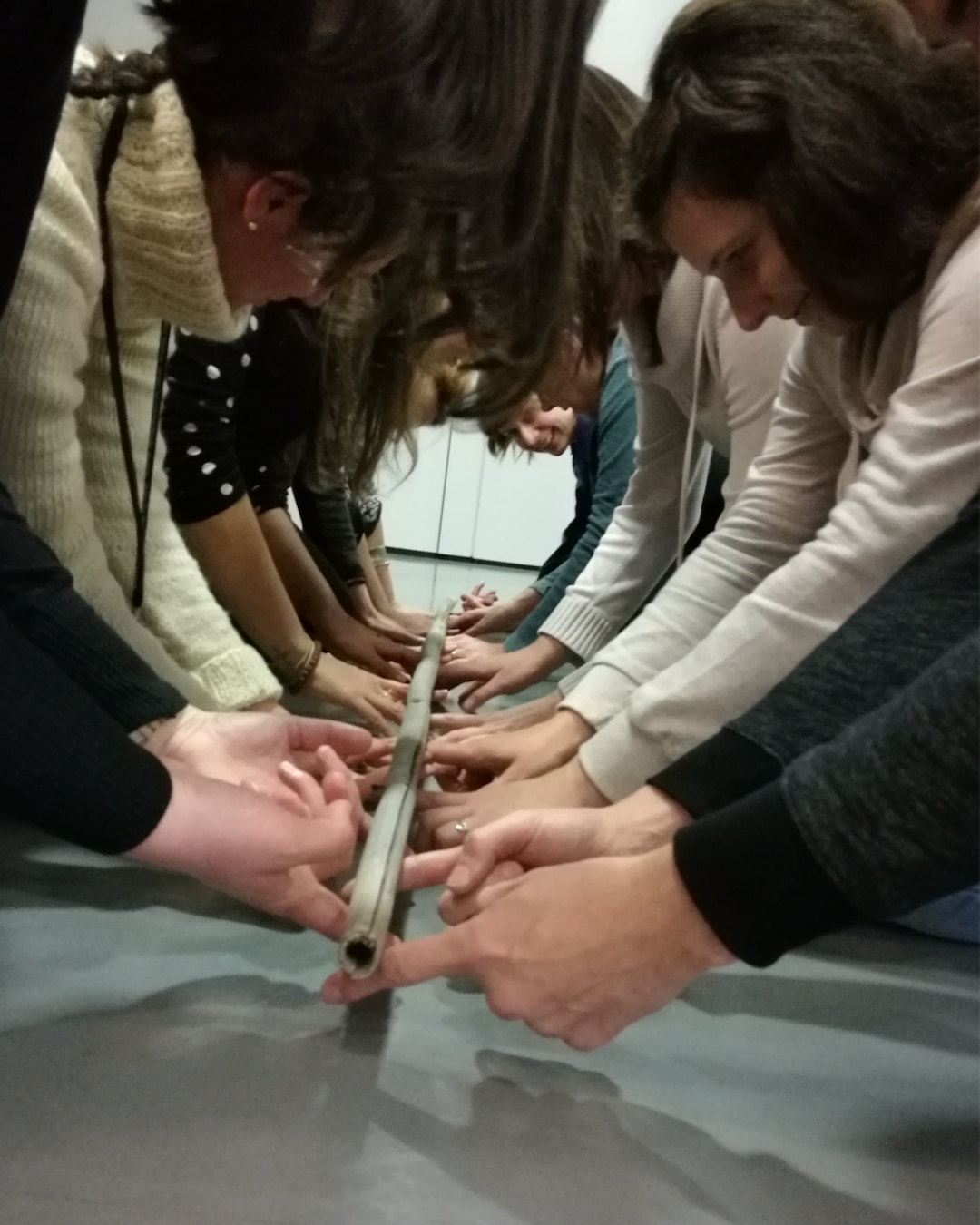 Digitalna obzorja: zgodba o raziskovanju, odnosih in rasti